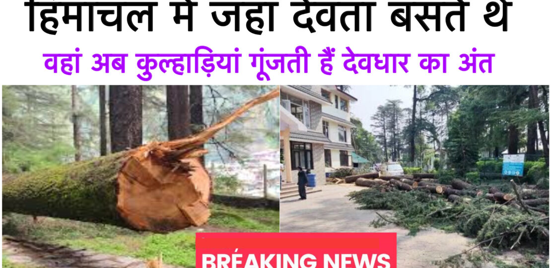 C9148464-027B-4950-A096-1D1FF428AD02